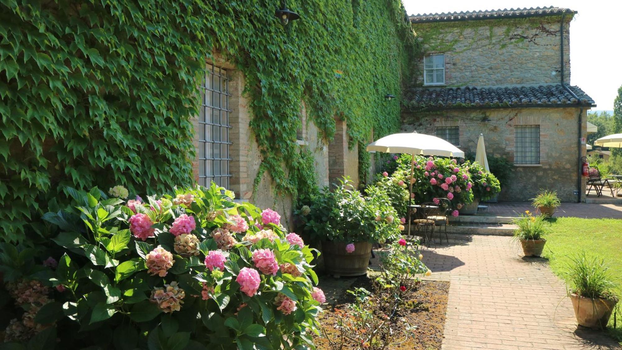 Agriturismo La Sovana Sarteano Ngoại thất bức ảnh