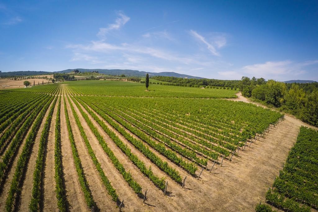 Agriturismo La Sovana Sarteano Ngoại thất bức ảnh