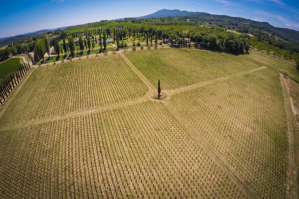 Agriturismo La Sovana Sarteano Ngoại thất bức ảnh
